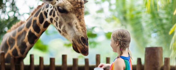 activité originale à Lyon