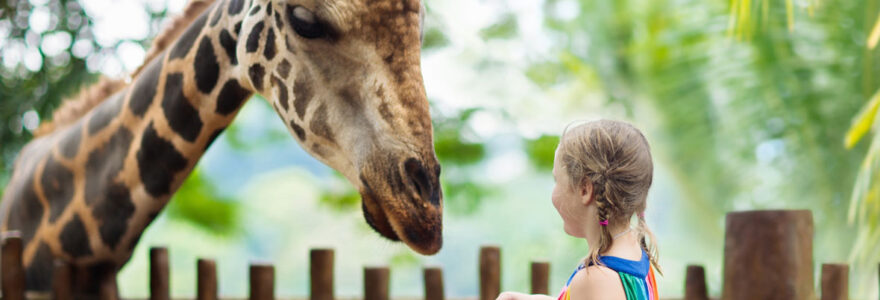 activité originale à Lyon